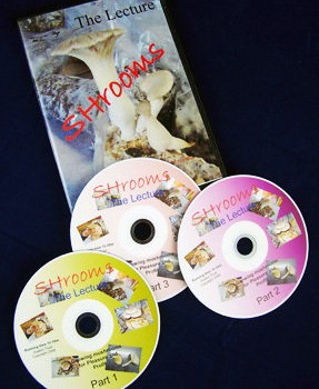 Lecture DVDs Lecture DVDs
