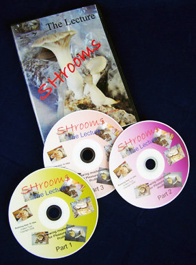 Lecture DVDs Lecture DVDs