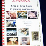 SHrooms Step by Step No17 edited SHrooms Step by Step No17 edited