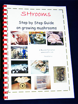 SHrooms Step by Step No17 edited SHrooms Step by Step No17 edited